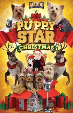 Puppy Star Christmas