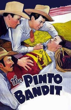The Pinto Bandit