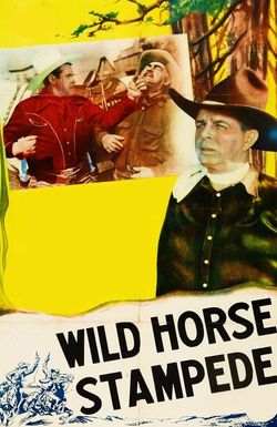 Wild Horse Stampede