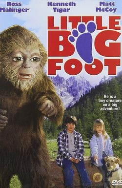 Little Bigfoot