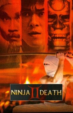 Ninja Death II