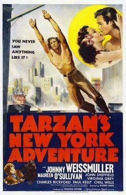Tarzan's New York Adventure