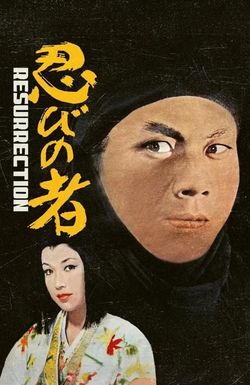 Shinobi No Mono 3: Resurrection