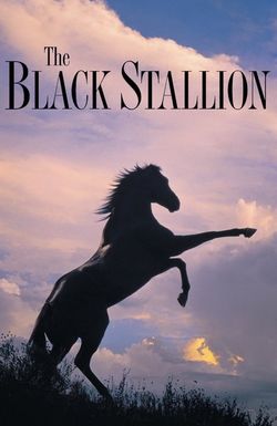 The Black Stallion