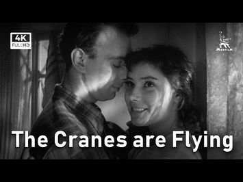 The Cranes are Flying | DRAMA | FULL MOVIE