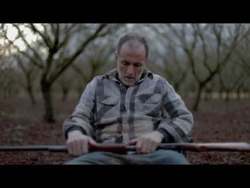 Noble Fir Trailer