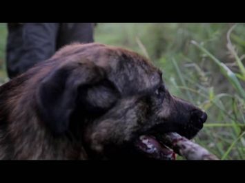 Our War - Trailer - Stockholm International Film Festival 2016