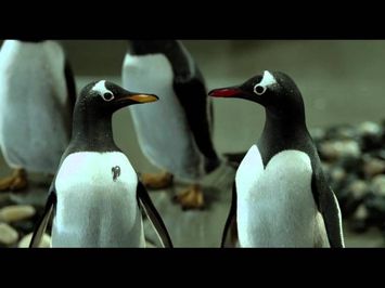 International Trailer 2
