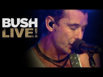 BUSH NEW BLU-RAY & DVD! 
