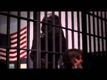 Pumpkinhead Ashes to Ashes - Pumpkinhead goes to the Police!