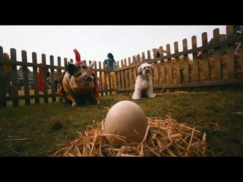 Pudsey The Dog: The Movie - Latest Trailer [Vertigo Films] [HD]