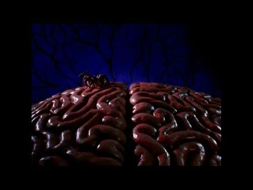 Lunatics: A Love Story (1991) - Stop Motion Shots