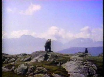 CTV Special Movie bumper The Bear 1992