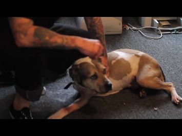 Last Minutes with ODEN