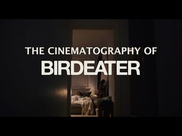 Cinematography