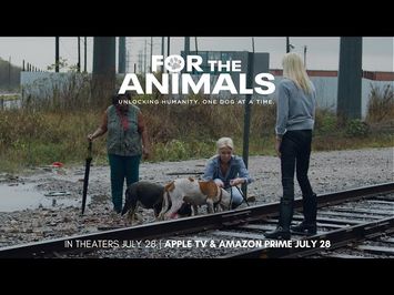 FOR THE ANIMALS [OFFICIAL TRAILER] - a powerful documentary about the stray animal crisis