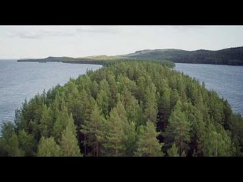 Tale of a Forest