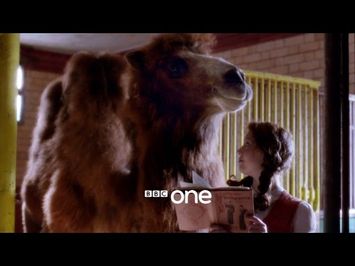 Our Zoo: Trailer - BBC One
