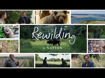 Rewilding A Nation [2023] Trailer