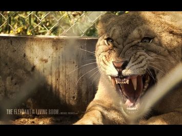 The Elephant in the Living Room Trailer (Official)