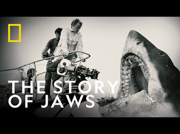 The Story Behind Jaws | Jaws @ 50: The Definitive Inside Story | National Geographic UK