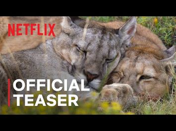 Official Teaser