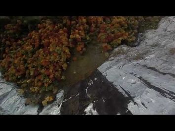 FREIFALL - EINE LIEBESGESCHICHTE Offiizieller Kino-Trailer
