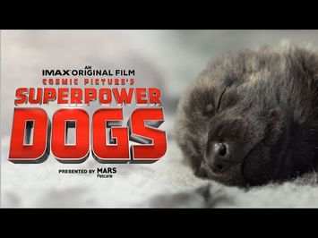 Superpower Dogs Official Trailer | Experience it in IMAX®