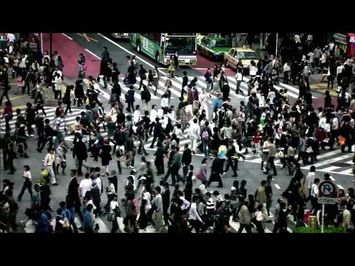 Human Harvest Official Trailer