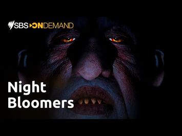 Night Bloomers | Trailer | Premieres Saturday 28 October on SBS On Demand and SBS VICELAND