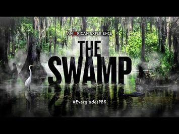 The Swamp | Coming to American Experience