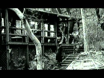 Chameleon - Trailer