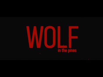 Wolf In The Pines