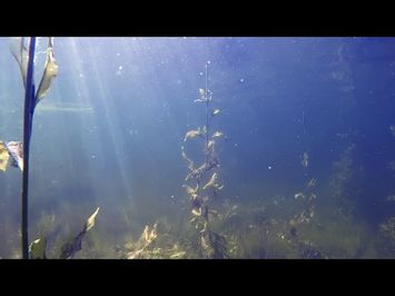 BurbTrailFacebook2