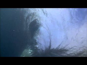 Whirlpool Clip
