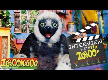 Unseen Interview with Zoboomafoo: Behind the scenes of the hit 90's TV Show