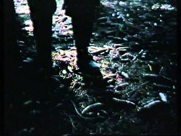 Body Count (1986) Trailer