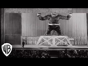 Cameras Rolling On Kong