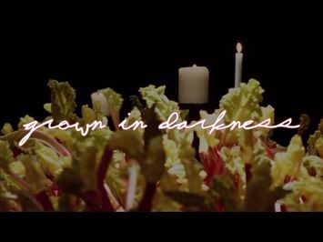 GROWN IN DARKNESS Trailer | VIFF 2022