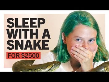 Sleep with a Snake for $2500