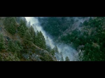 A Director's Cut: Monsters in the Woods