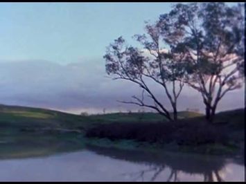 My Survival as an Aboriginal Official Trailer