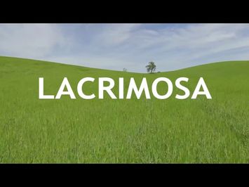 Lacrimosa Official Trailer #2