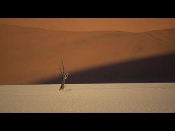 IDFA 2017 | Trailer | In Praise of Nothing