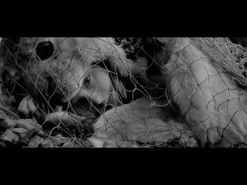 Bedlamer (2024) - Teaser Trailer