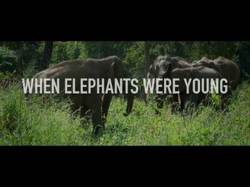 When Elephants Were Young - Trailer 1080p [2016]