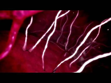 Teaser Trailer
