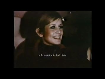 Twiggy Mania