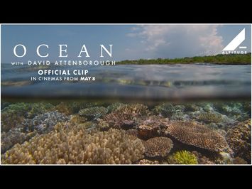 'Scuba Diving' Clip