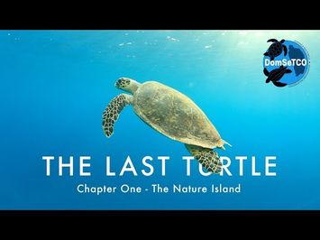 The Last Turtle | Ep.1, The Nature Island